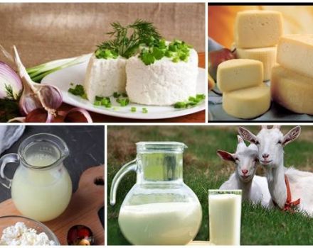 What can be made from fresh goat milk, top 7 cooking recipes