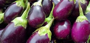 Description de la variété d'aubergine nain japonais, ses caractéristiques et son rendement