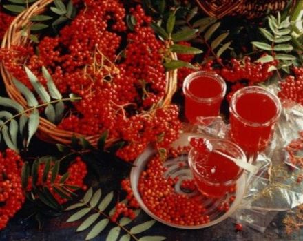 TOP 16 des recettes simples pour la confiture de sorbier rouge pour l'hiver à la maison