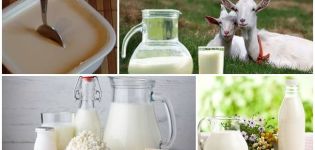 Recetas para hacer crema agria de leche de cabra en casa.