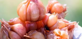 Recipe for pickled garlic as in the market with whole heads