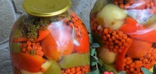 TOP 2 recipes for pickling tomatoes with black and red mountain ash for the winter