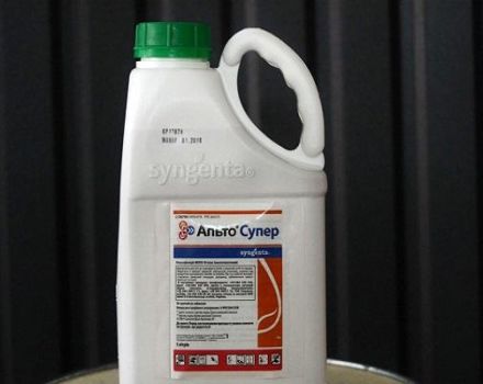 Instructions for the use of fungicide Alto Super and how to prepare a working solution