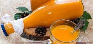 TOP 6 recetas para hacer jugo de calabaza y manzana para el invierno