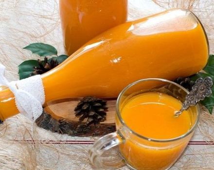 TOP 6 recipes for making pumpkin-apple juice for the winter