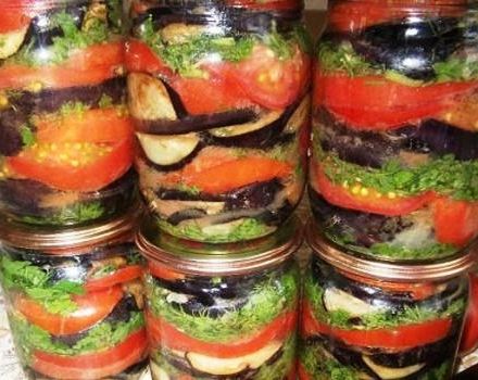 5 meilleures recettes d'apéritif d'aubergine avec tomates et ail pour l'hiver