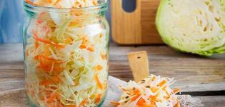 8 best instant sauerkraut recipes that are delicious and juicy