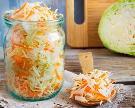 8 best instant sauerkraut recipes that are delicious and juicy