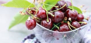 Cómo almacenar adecuadamente las cerezas en casa en un apartamento y la vida útil de las bayas.