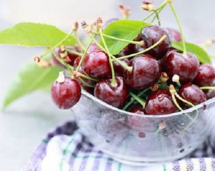 Cómo almacenar adecuadamente las cerezas en casa en un apartamento y la vida útil de las bayas.