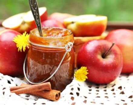 Top 6 des recettes pour faire de la confiture de pommes et de cannelle pour l'hiver et le stockage