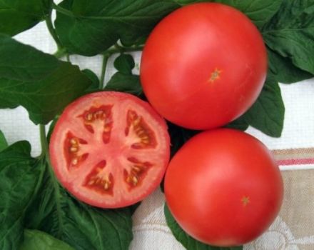 Caractéristiques et description de la variété de tomate Anyuta, son rendement