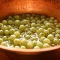 Simple recipes for making gooseberry jelly for the winter