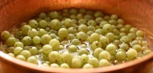 Ang mga simpleng recipe para sa paggawa ng gooseberry jelly para sa taglamig