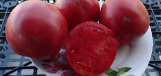 Penerangan mengenai pelbagai jenis epal, ciri dan produktiviti tomato Siberia