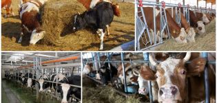 Areas of distribution of stall and grazing livestock, especially