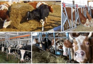 Areas of distribution of stall and grazing livestock, features