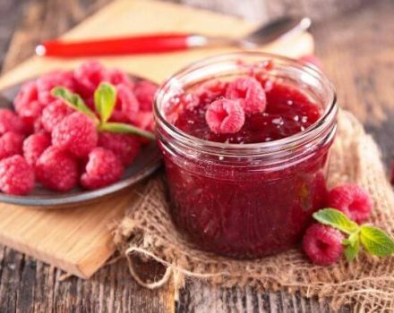 8 best recipes for harvesting raspberries for the winter without cooking