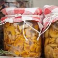 Simple step-by-step recipes for salting mushrooms at home for the winter in jars