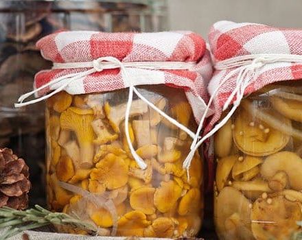 Simple step-by-step recipes for salting mushrooms at home for the winter in jars