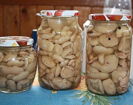 Una receta sencilla y deliciosa para hacer mantequilla en escabeche para el invierno en casa