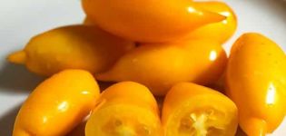 Description of the variety of tomato Golden Canary and its characteristics