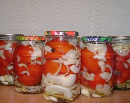 7 simple and quick recipes for pickling tomatoes and onions for the winter