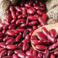 Los beneficios y daños de los frijoles rojos para el cuerpo humano.