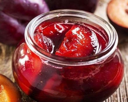 A simple recipe for juice from plums for the winter at home