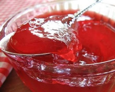 TOP 3 délicieuses recettes pour cuisiner de la gelée de cornouiller pour l'hiver