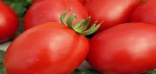 Description and characteristics of the tomato variety Fitous