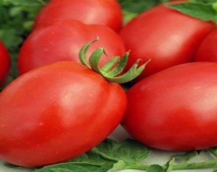 Descripción y características de la variedad de tomate Fitous