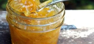 5 best recipes for making zucchini jam with dried apricots