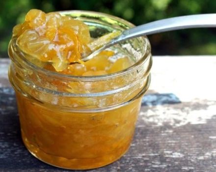 5 best recipes for making zucchini jam with dried apricots