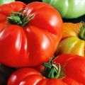 Description of the Red Buffalo tomato variety, cultivation features and yield