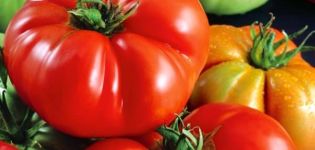 Description of the red buffalo tomato variety, cultivation features and yield