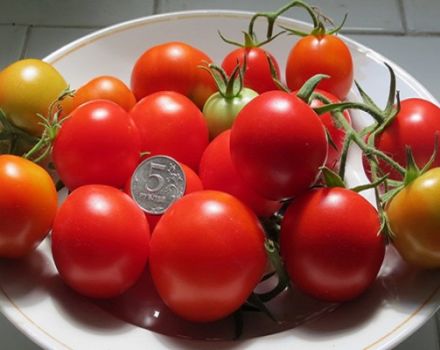 Características y descripción de la variedad de tomate Schelkovsky temprano.