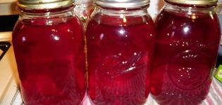 A simple recipe for making lingonberry compote for the winter