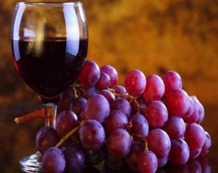 The best recipe for making wine from Taifi grapes at home