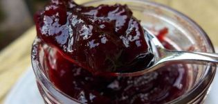 Une recette simple pour faire de la confiture de pommes et de prunes pour l'hiver