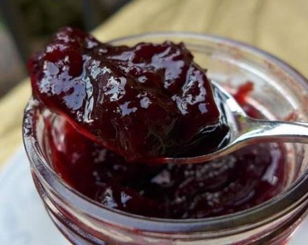 Une recette simple pour faire de la confiture de pommes et de prunes pour l'hiver