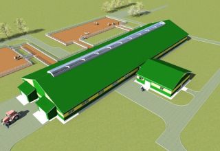 Projet d'étable pour 100 têtes et dessins pour construire une ferme de vos propres mains