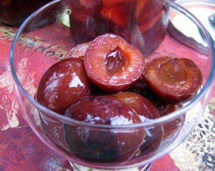 8 delicious recipes for making soaked plums for the winter at home