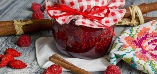 TOP 2 des recettes pour faire de la confiture de fraises et de framboises pour l'hiver