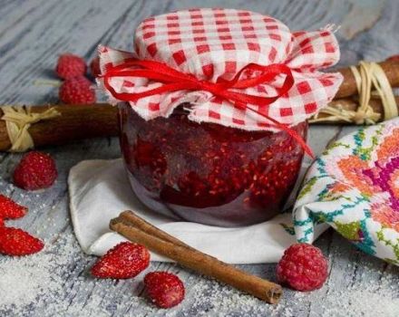 TOP 2 recipes for making strawberry and raspberry jam for the winter