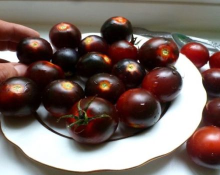 Caractéristiques et description de la variété de tomate cerise noire, rendement