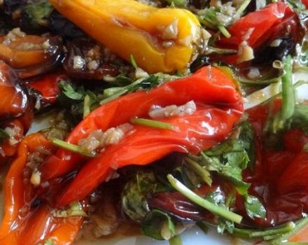 TOP 4 recipes for preparing baked peppers for the winter at home