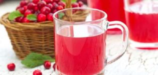 A simple recipe for making lingonberry juice for the winter