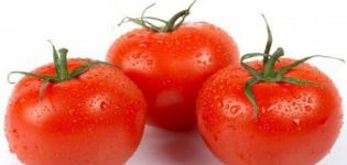 Caractéristiques et description de la variété de tomate Le rêve du jardinier, son rendement