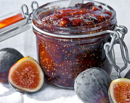 Recipe for making fig jam at home for the winter